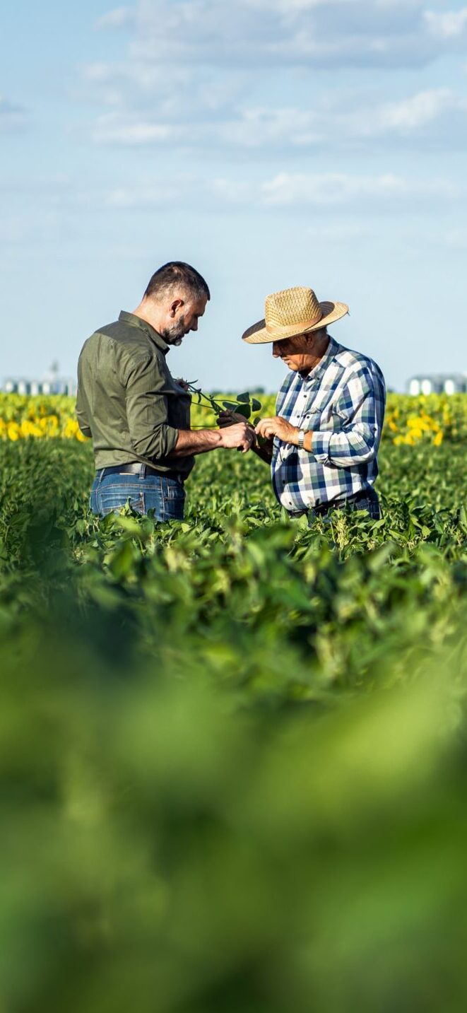 2 men farmers in a field