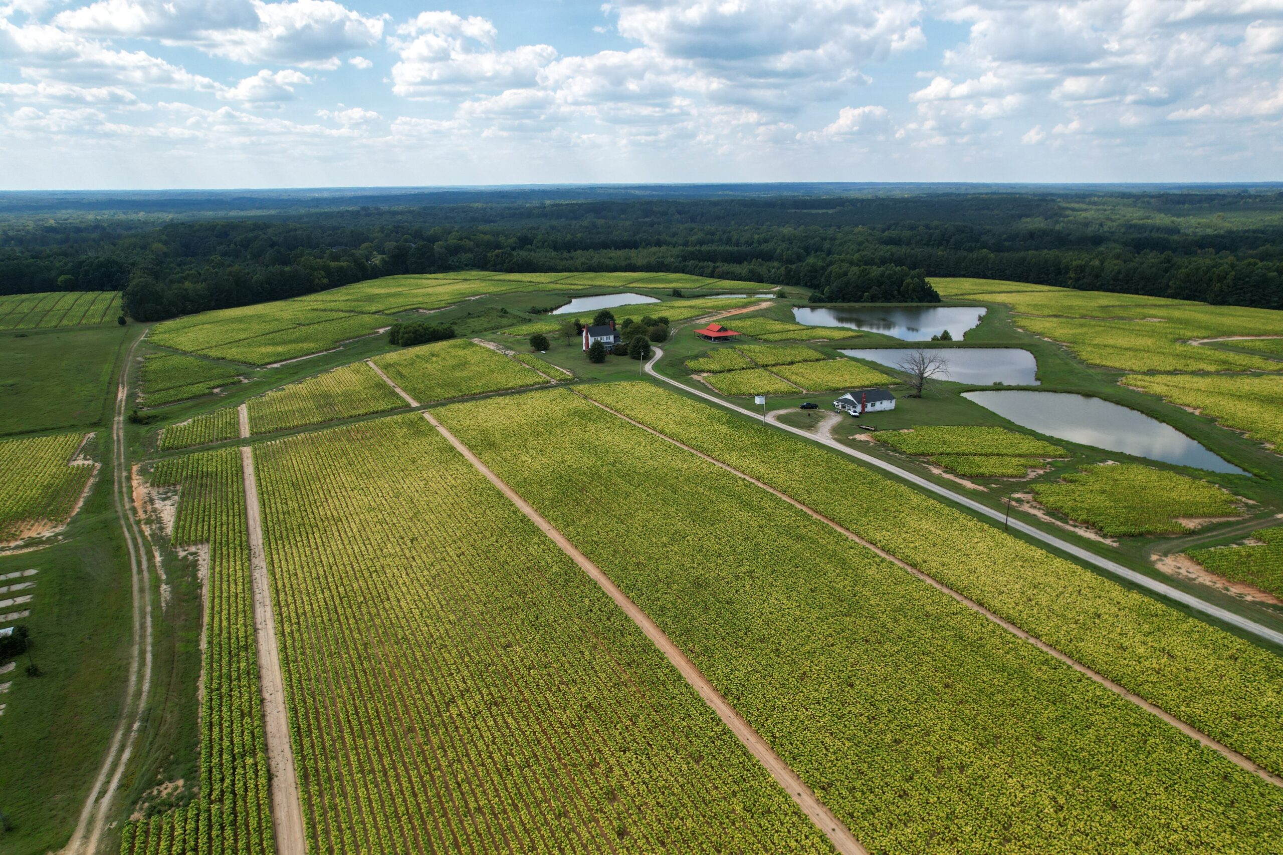 farmland north of raleigh