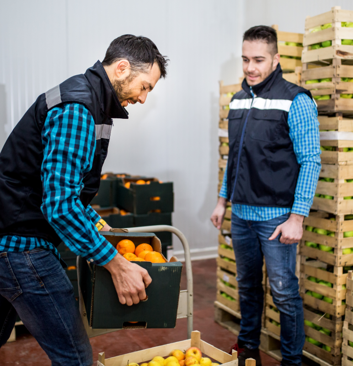 2 men in ware house of fruit