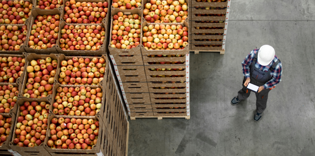 man in hardhat with crates of fruit