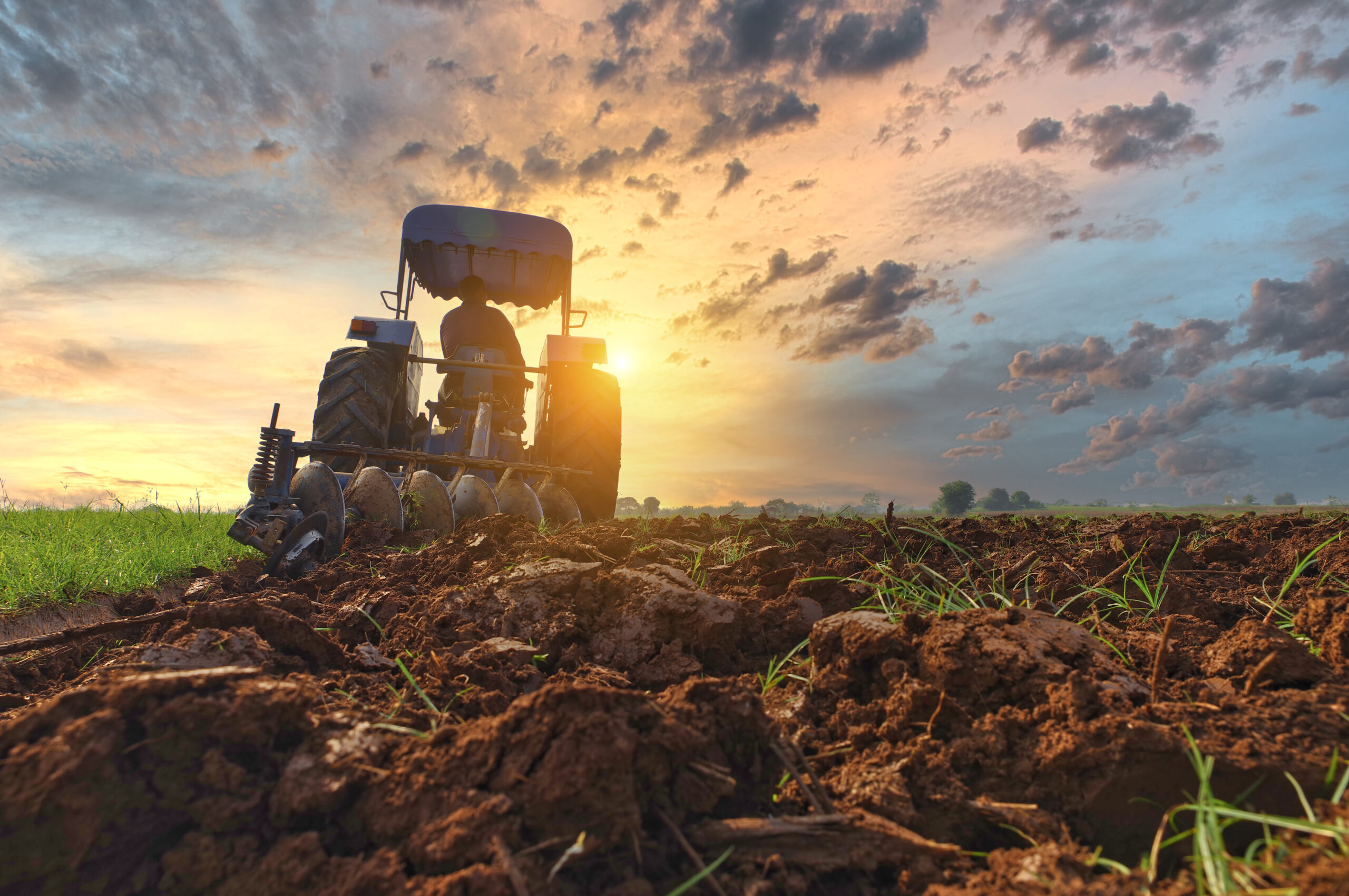 Farm with tractor