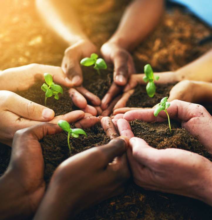 5 hands in a circle holding soil with plants sprouting