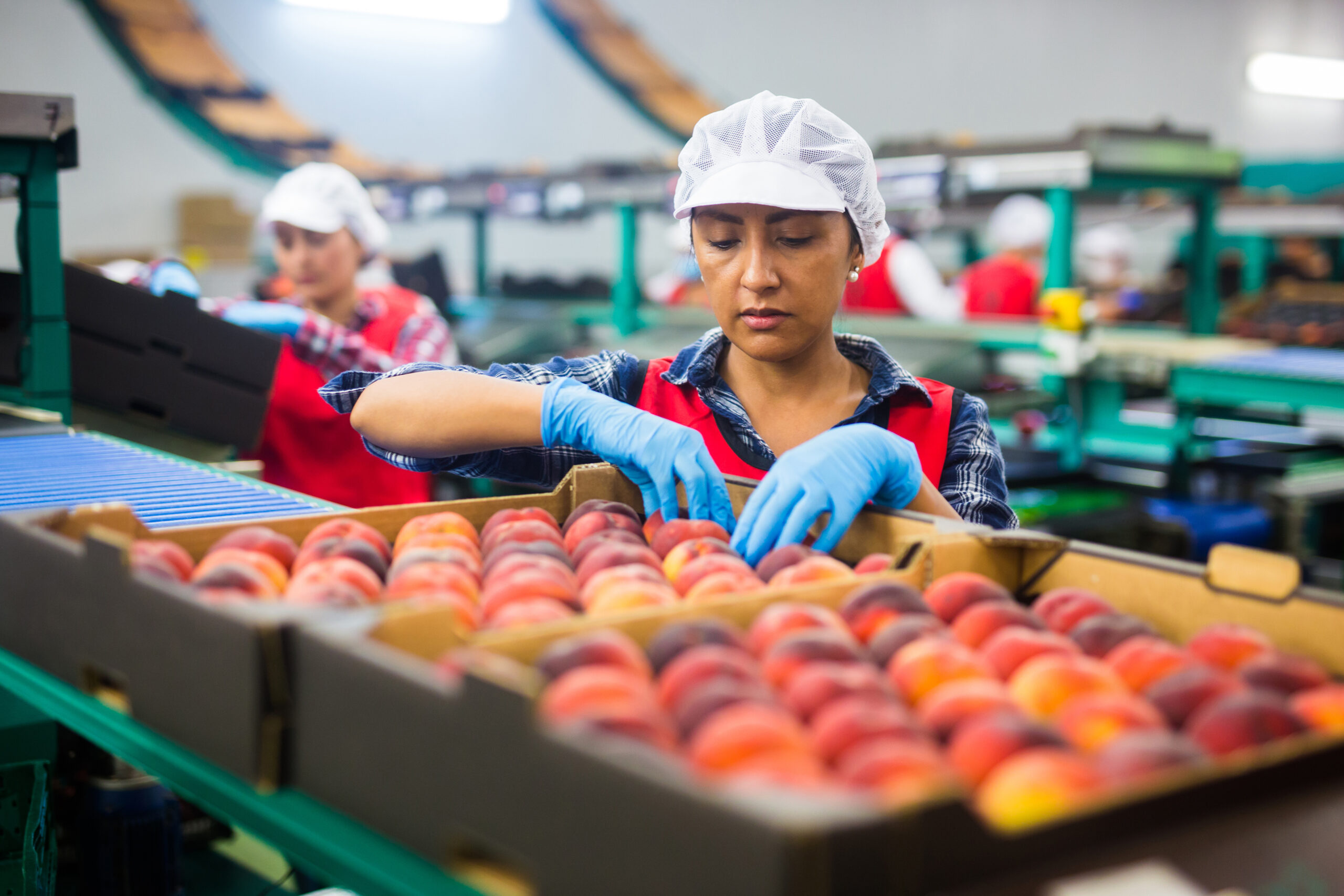 woman checking quality of peaches